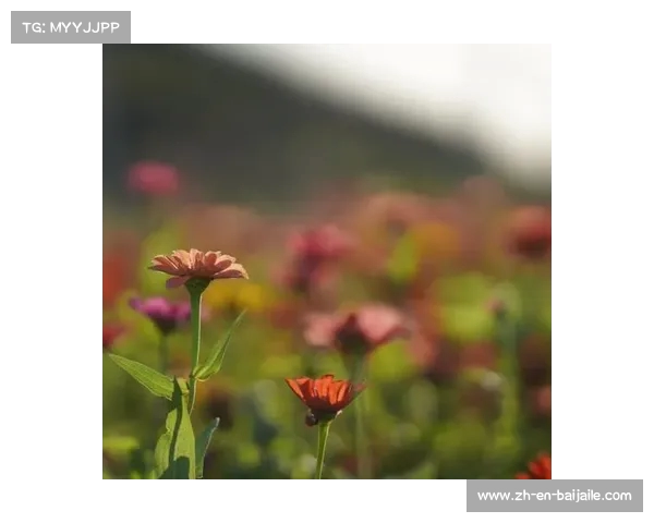 重塑足球未来：勇敢放慢脚步回归运动本质与理性思考